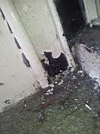 fkillineybeforeinternal 1410.jpg